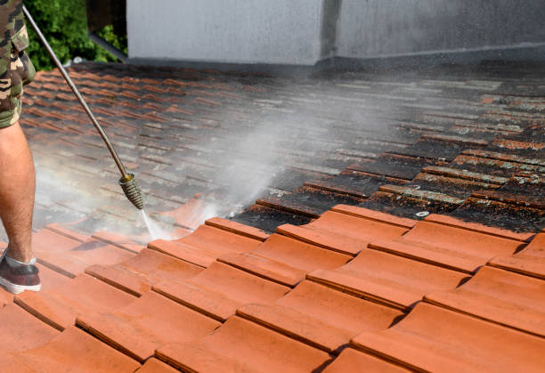  Mount Vernon, MD Pressure Washing Pros