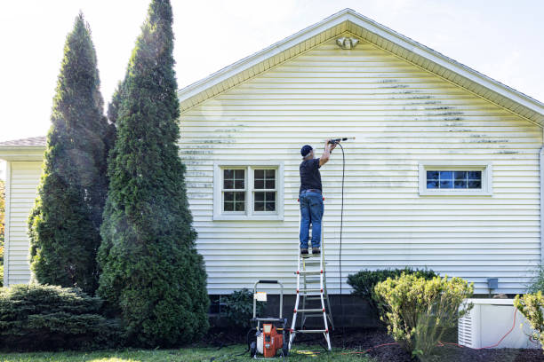 Best Pressure Washing Cost  in Mount Vernon, MD