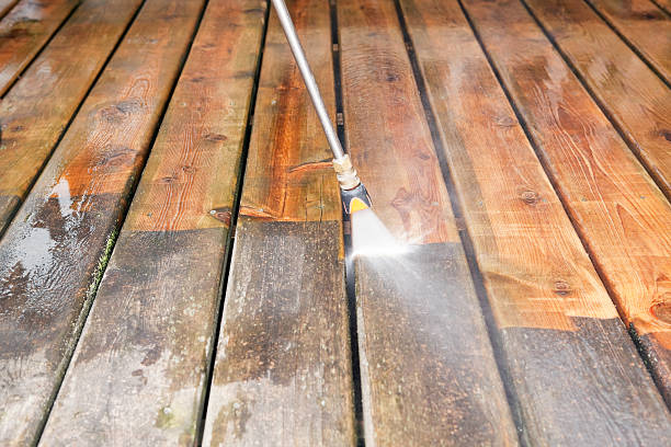 Best Affordable Pressure Washing  in Mount Vernon, MD