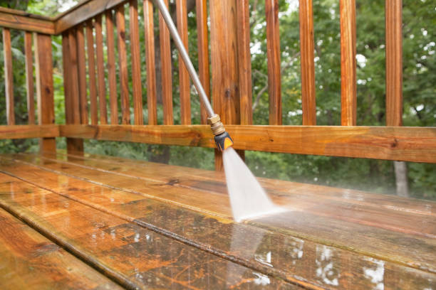Best Concrete Pressure Washing  in Mount Vernon, MD