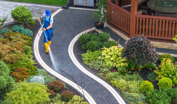 Best Residential Pressure Washing Services  in Mount Vernon, MD